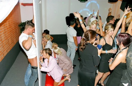 Lustful gals showing off their cock sucking skills at a gloryhole party