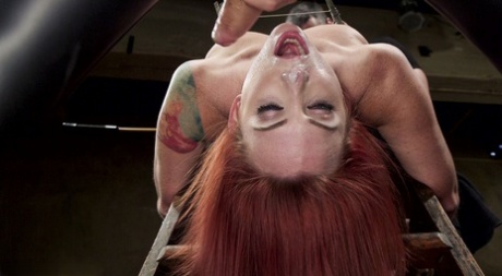 The Training Of O featuring Owen Gray, Sophia Locke Sex Images