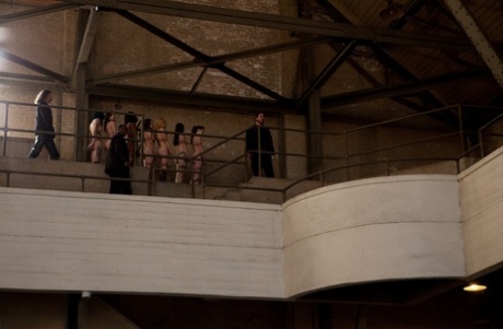 Lined up damsels in handcuffs getting stripped by their male BDSM handlers