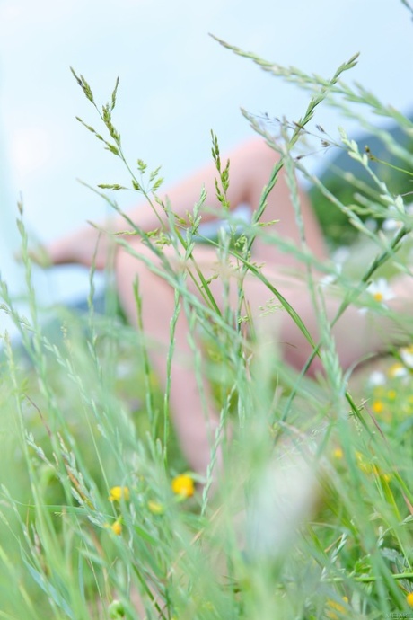Amateur beauty Nalli A strips in a meadow & shows her tiny tits & hairy pussy