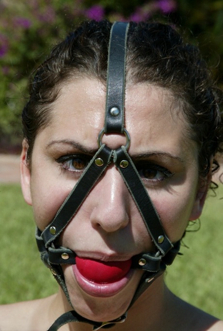Hogtied featuring Dee Williams, Jenni Lee, Jenya, Princess Donna Dolore Naked Photos