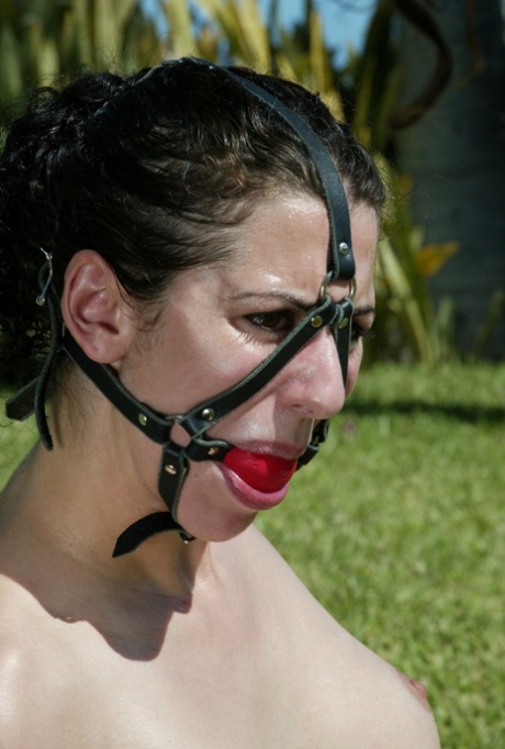 Hogtied featuring Dee Williams, Jenni Lee, Jenya, Princess Donna Dolore Naked Photos
