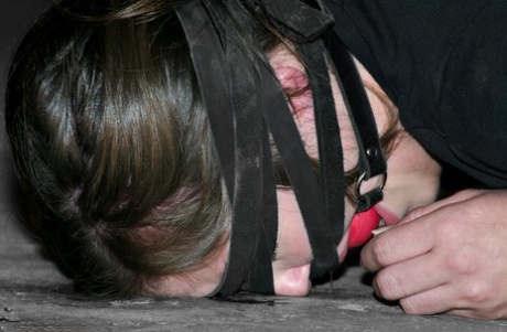 Submissive brunette Kayden Faye gets bound with straps and put in the stocks