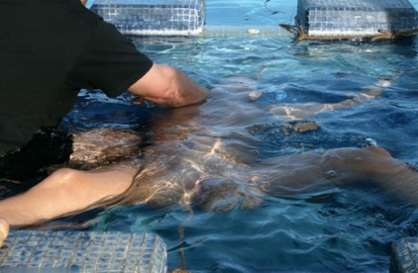 Water Bondage featuring Jenni Lee Porn XXX