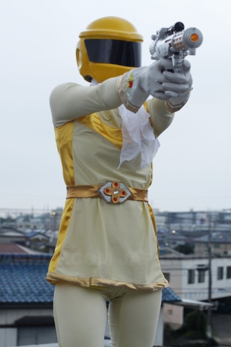 Japan HDV
