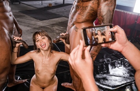 Stunners Riley Reid & Gabbie Carter get fucked by two black boxers in a 4some