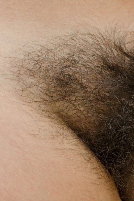 Amateur exhibitionist Katie Zucchini strips in nature & exposes her hairy body