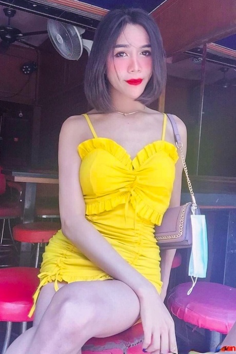 Sexy Asian shemale shows off her perfect body in pretty outfits