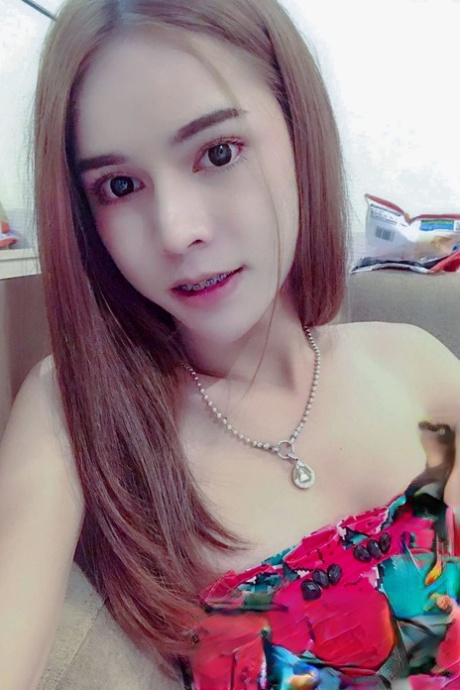 Hello Ladyboy Ladyboy Kitty