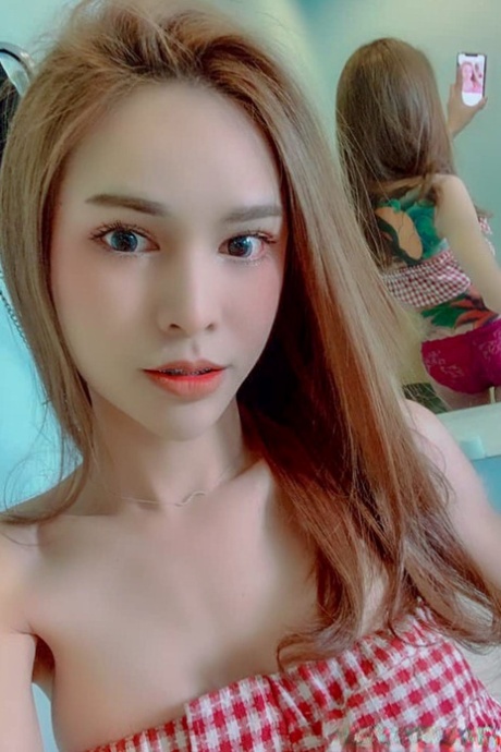 Hello Ladyboy Ladyboy Kitty