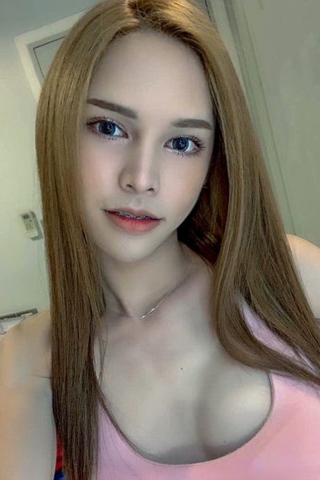 Hello Ladyboy Ladyboy Kitty