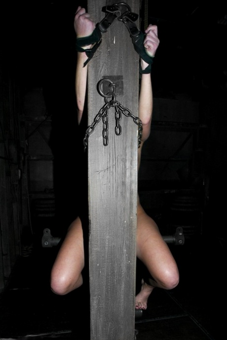Brunette girl with small tits Ariel X gets her nips clamped in metal bondage
