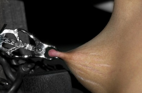 Brunette girl with small tits Ariel X gets her nips clamped in metal bondage
